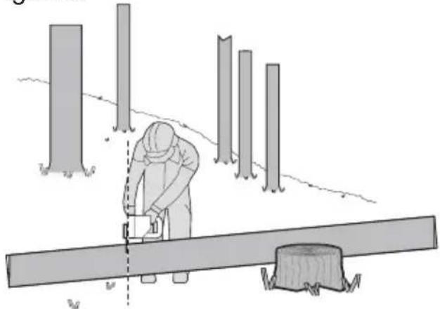KRESS KG367E.9 - Troceado del tronco - 4