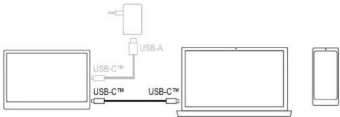 Renkforce RF-PM-300 - Liaison vidéo via USB-C™ - 1