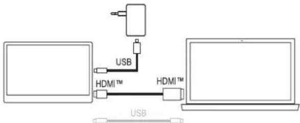 Renkforce RF-PM-300 - Video connection via HDMI - 1