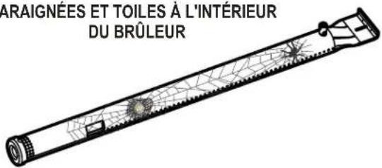 CHAR BROIL 14101480 - ATTENTION AUX ARAIGNÉES! - 1