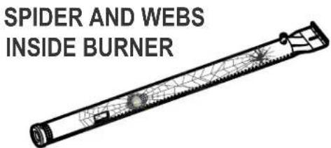 SPIDER AND WEBS INSIDE BURNER