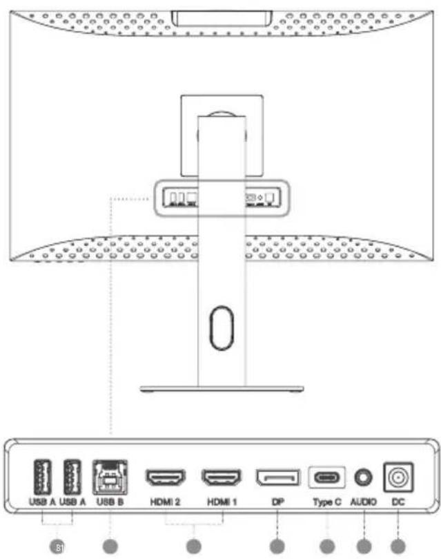 Alogic Clarity Pro - 28