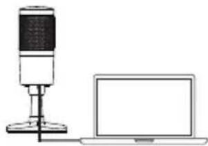 GEMINI GSM-100 - Istruzioni per l'uso (PC / MAC) - 2