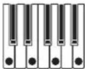 KORG Opsix SE Platinum - PTRN (motif d'arpège) - 1