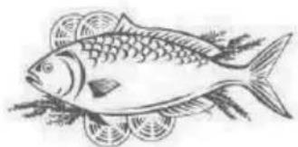 PROLINE BRF47 - Fish and seafood - 1