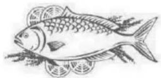 PROLINE BRF47 - Poisson et fruits de mer - 1