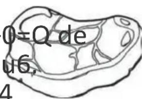 PROLINE DD254NFWH - Viande rou4e - 1