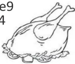PROLINE DD254NFWH - Volaille - 1