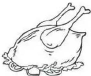 PROLINE DD254NFWH - Poultry - 1