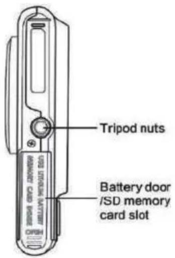 Tripod nuts USB STICKLE MATTERY MEMORY CARD BOX Battery door /SD memory card slot