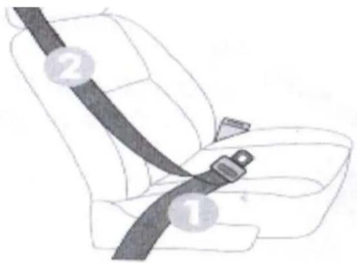 Diagram of a car seatbelt with numbered labels indicating key components