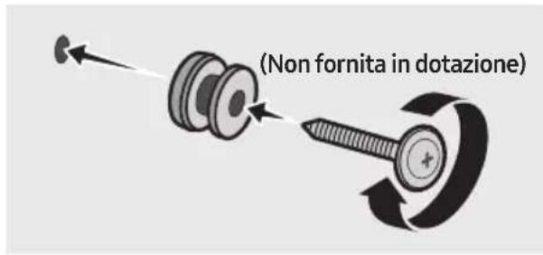 (Non fornita in dotazione)