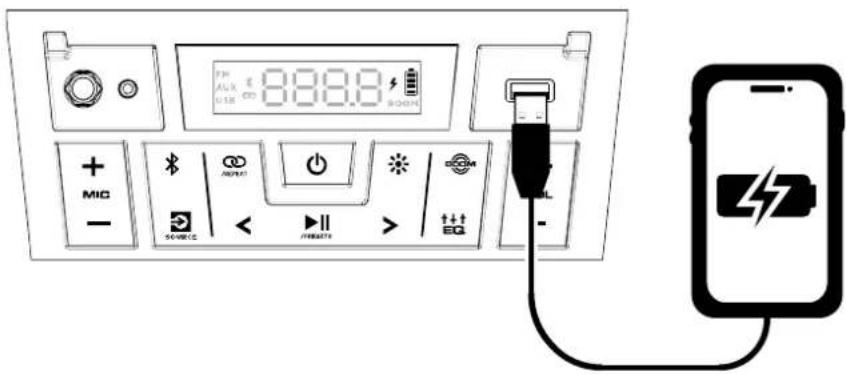 ION Party Boom Plus - Utilisation du port de rechargement USB - 1