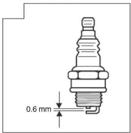 0.6 mm