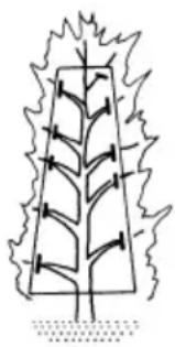 HiKOKI CH14DSL - Desramar árboles de jardín - 1