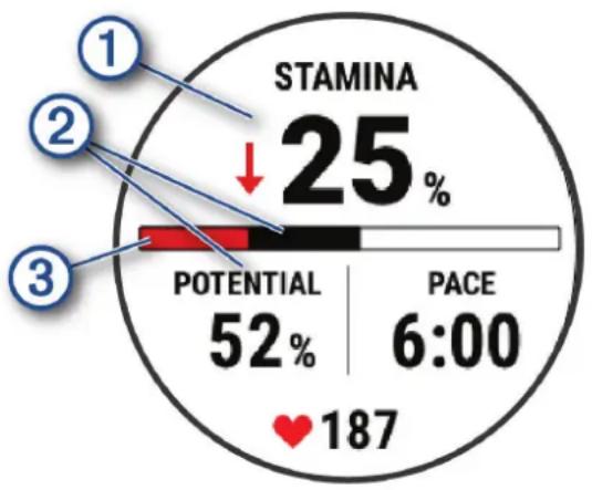 GARMIN Fenix 7S Pro - Affichage de votre Stamina en temps réel - 1