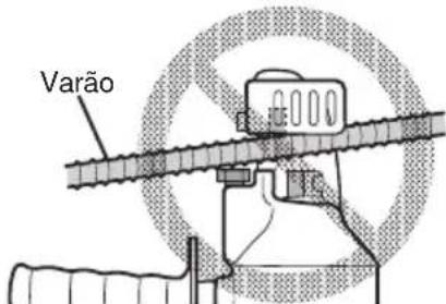 Varão