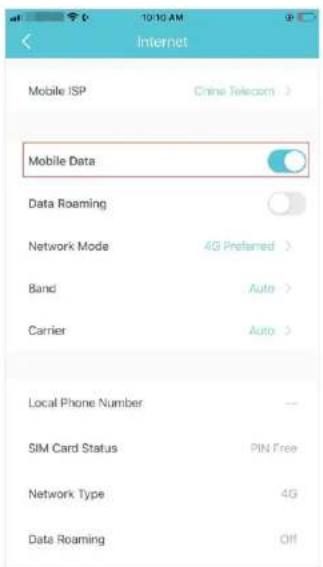 TP-LINK Deco X20-4G - Paramètres Internet (pour le mode routeur 3G/4G) - 2