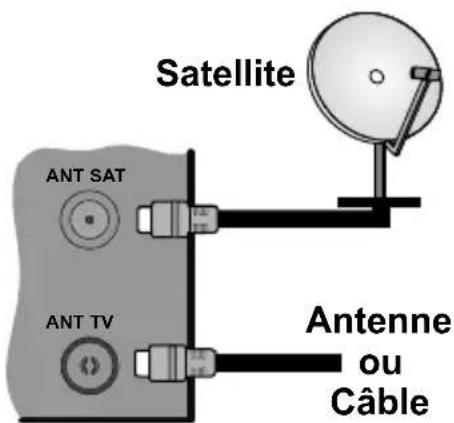 JVC LT-32VH5105 - Branchez l'antenne à votre téléviseur - 1