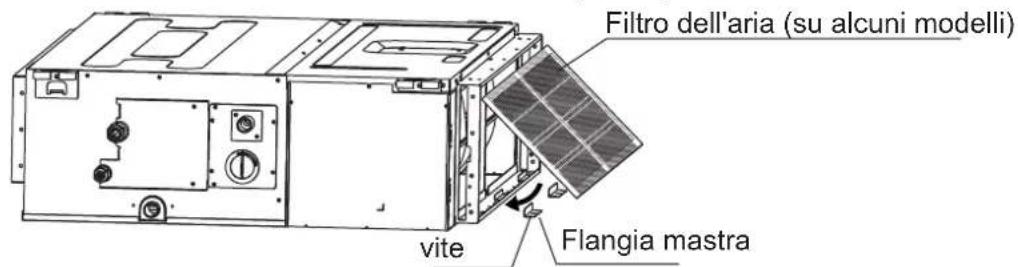 Filtro dell'aria (su alcuni modelli) vite Flangia mastra