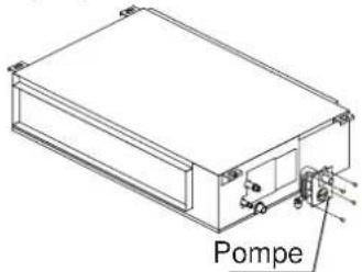 Pompe