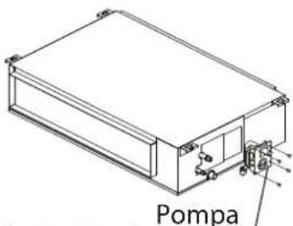 Pompa