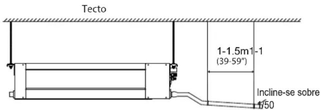 Tecto 1-1.5m1-1 (39-59") Incline-se sobre 1/50
