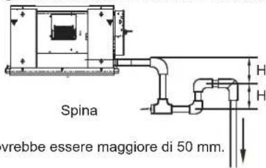 Spina vrebbe essere maggiore di 50 mm.