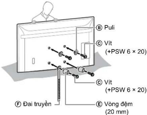 SONY KD-50X80L - Luru y - 2