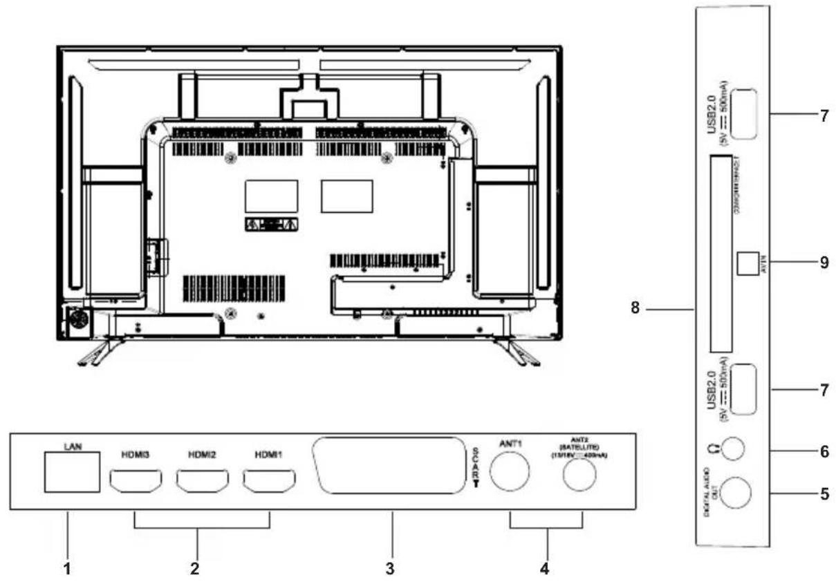 Blue 55BU800 - Back view controls and sockets - 1