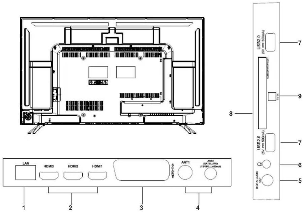 Blue 43BU800 - controldeUnidad principal - 1