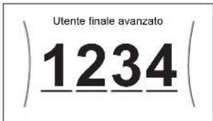 Utente finale avanzato 1234