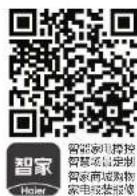 HAIER DSH-210A1 - Haier - 1