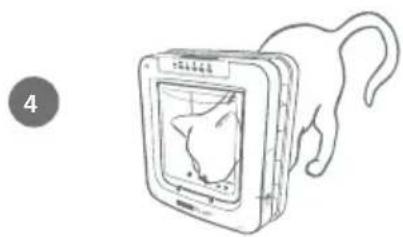 SureFlap Microchip Pet Door Connect - We raden u ten zeerste aan al uw huisdieren in het huisdierluik te programmeren voordat u het monteert. - 4