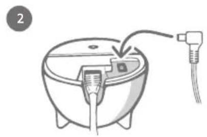 SureFlap Microchip Pet Door Connect - Plug in and set up - 2