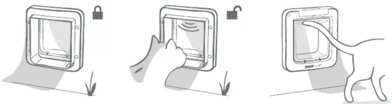 SureFlap Microchip Pet Door Connect - Standaardvergrendelingsmodus - 1