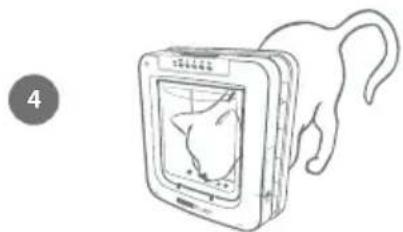 SureFlap Microchip Pet Door Connect - We strongly advise programming all of your pets into the Pet Door before fitting it. - 4