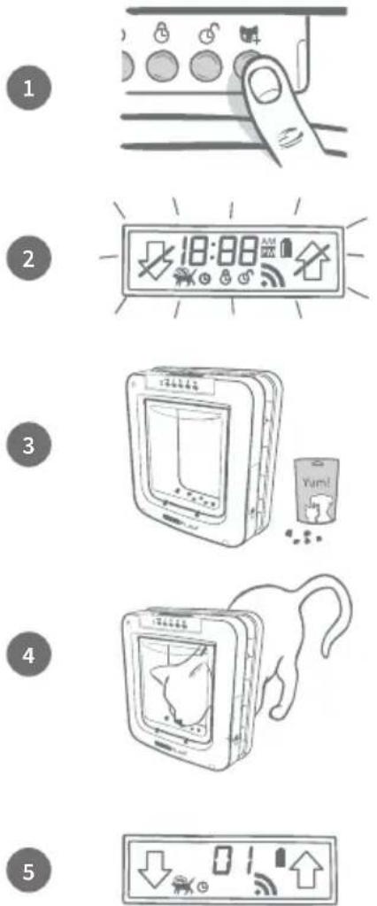 SureFlap Microchip Pet Door Connect - Wir empfehlen dringend, alle Haustiere in die Haustierklappe einzuprogrammieren, bevor Sie diese einbauen. - 1