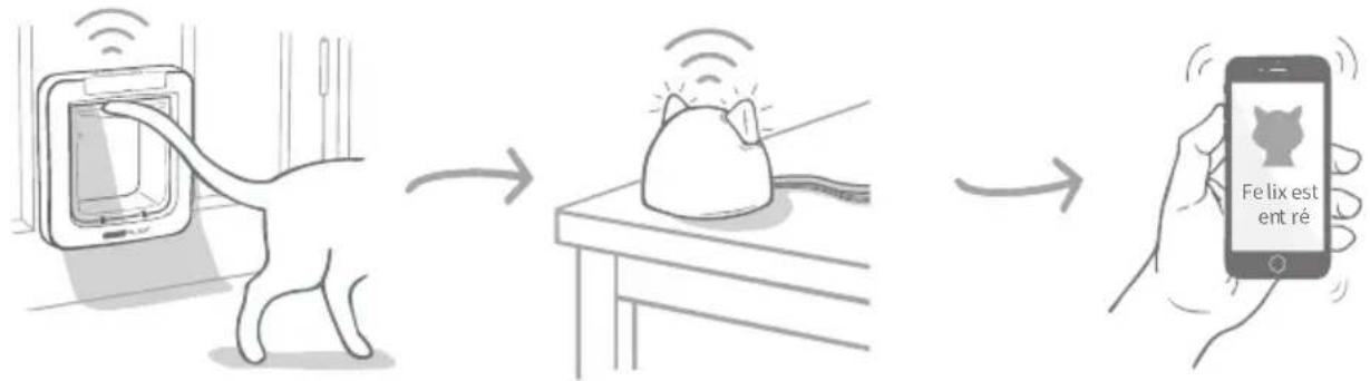 SureFlap Microchip Pet Door Connect - Autres facteurs à prendre en compte - 6