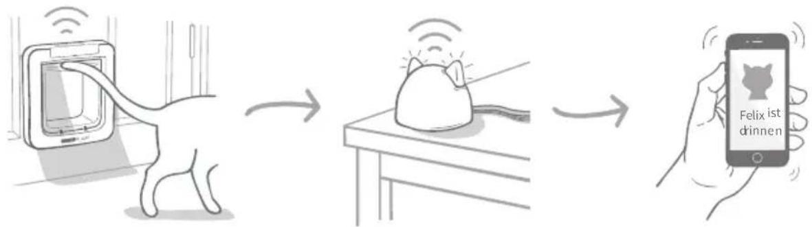 SureFlap Microchip Pet Door Connect - Sonstige wichtige Aspekte - 6