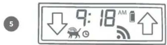 9:18 AM