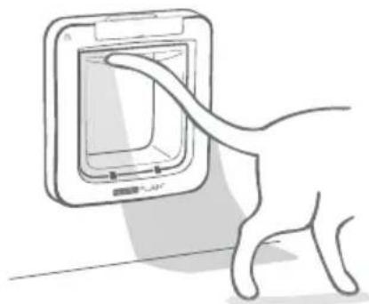 SureFlap Microchip Pet Door Connect - Standard locking mode - 3