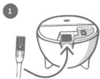 SureFlap Microchip Pet Door Connect - Aansluiten en installeren - 1