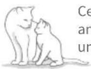SureFlap Microchip Pet Door Connect - LISEZ LES INFORMATIONS SUIVANTES AVEC ATTENTION ET CONSERVEZ CE GUIDE POUR RÉFÉRENCE ULTÉRIEURE. - 1