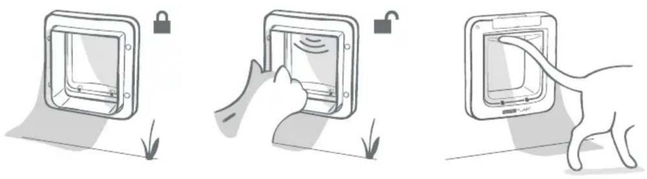 SureFlap Microchip Pet Door Connect - Gehen Sie online. - 2