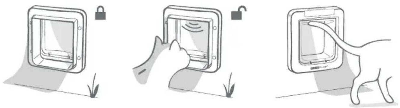 SureFlap Microchip Pet Door Connect - Mode de verrouillage standard - 1