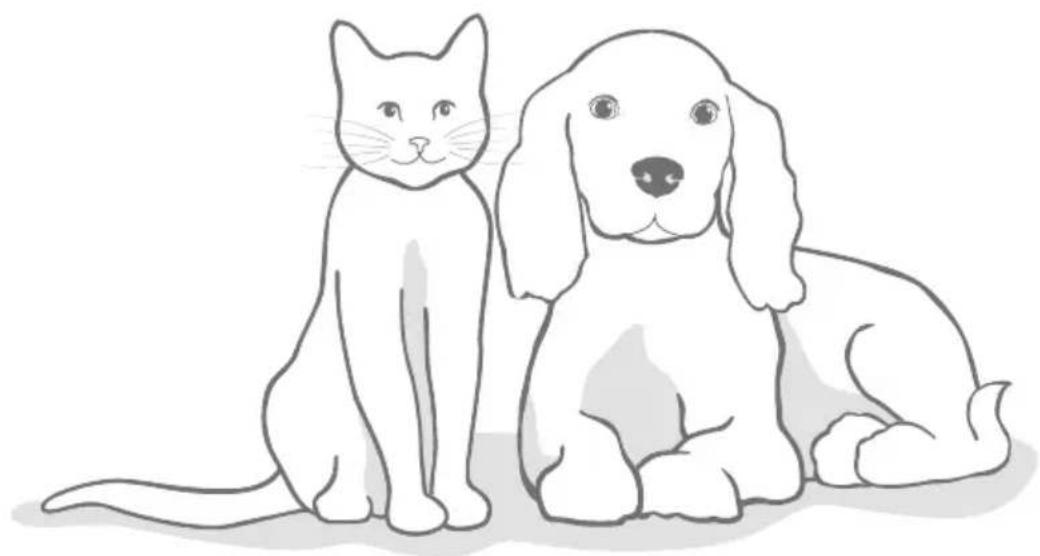 SureFlap Microchip Pet Door Connect - Sie benötigen immer noch Hilfe? - 2