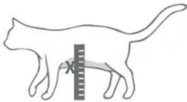 SureFlap Microchip Pet Door Connect - Schritt-für-Schritt-Anleitung zum Ausschneiden der Öffnung in die Glasscheibe - 5