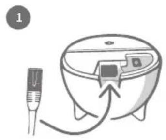 SureFlap Microchip Pet Door Connect - Plug in and set up - 1