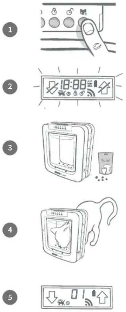 SureFlap Microchip Pet Door Connect - Nous vous recommandons vivement d'enregistrer tous vos animaux dans la mémoire de la grande chatière avant l'installation. - 1